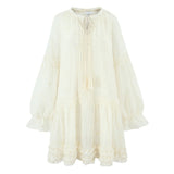 Sheer Dobby Tassel Tie Ruffle Hem Mini Dress
