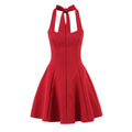 Halter Tie Neck Flare Mini Dress