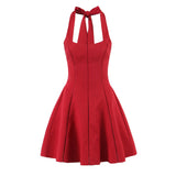 Halter Tie Neck Flare Mini Dress